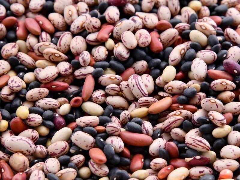 Basic beans (slow cooker)