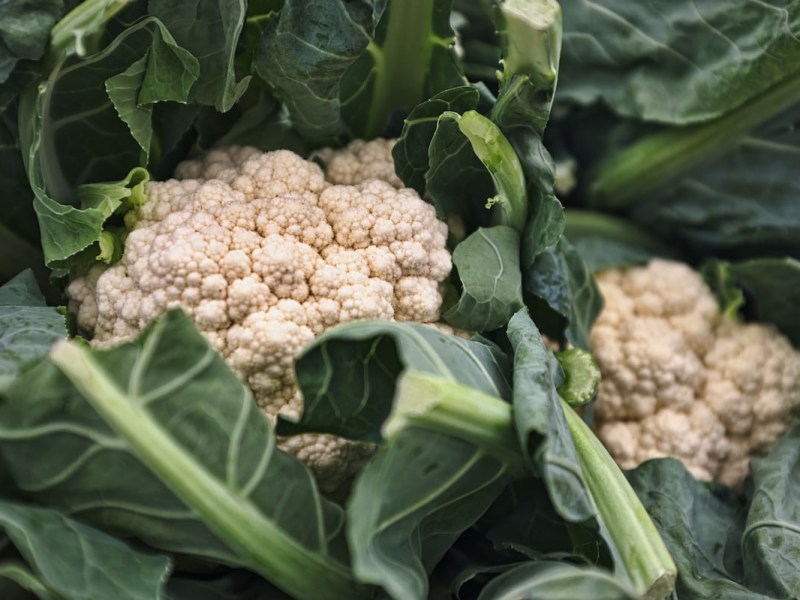 Garlic tahini cauliflower bowls