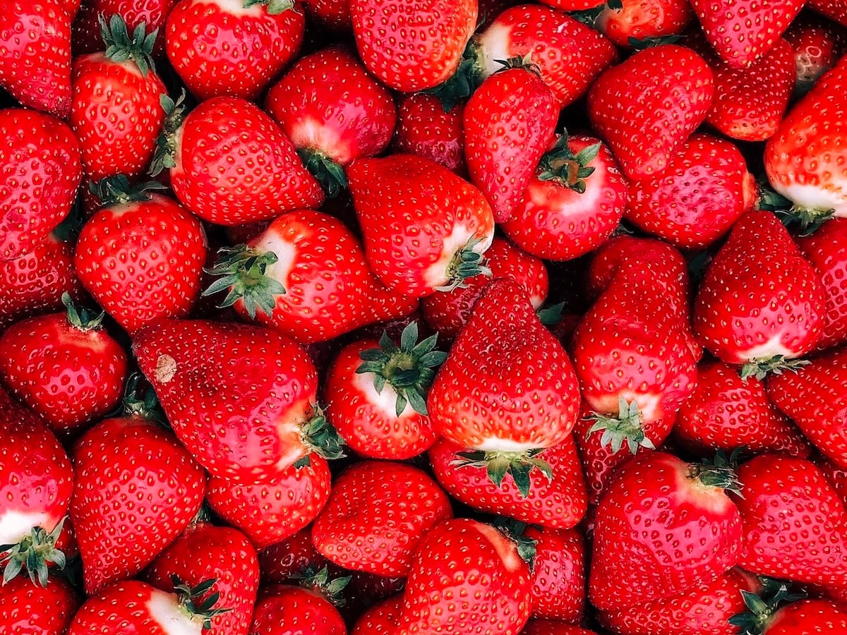 Avocado and strawberry toast